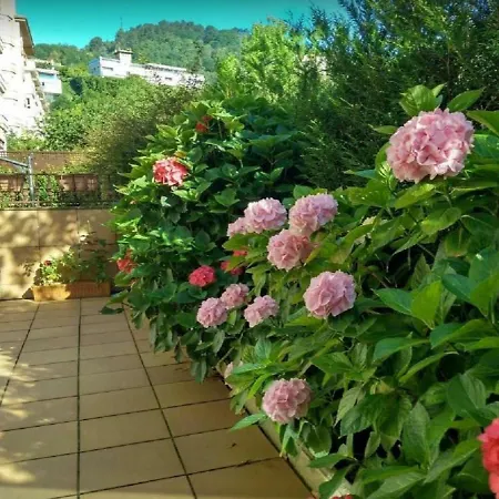 Ondarreta Beach & Terrace San Sebastian